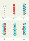 Figure 14 - Position of punches vs. position of heated zones according to shrinkage in the semi-finished product