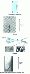 Figure 2 - Main defects encountered in calendering