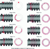 Figure 27 - Evolution of the distributive mixture over time (from [2])