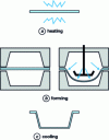 Figure 1 - The various stages of a conventional thermoforming process