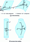 Figure 5 - Curvilinear coordinates