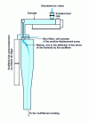 Figure 5 - Schematic profile view of a spinning position, with the appearance of the balloon formed by the bundle of filaments under the action of cooling air blowing.