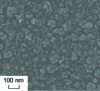 Figure 4 - Laser nanoroughening on steel observed by scanning electron microscopy [7]