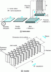 Figure 3 - Honeycombs