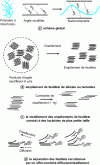 Figure 13 - Schematic diagram of nanocomposite production by melt mixing