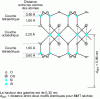 Figure 3 - Idealized structure of a phyllosilicate [Al2(OH)2(Si2O5 )2 ]2 + H2O at a value of 5 mass%.