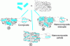 Figure 4 - Possible structures of polymer matrix nanocomposites