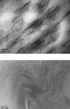 Figure 7 - Morphology of a polypropylene matrix nanocomposite