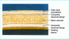 Figure 8 - Cross-section of a centrifugally-manufactured sewage pipe wall (Hobas company)