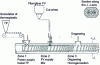 Figure 1 - Schematic diagram of a twin-screw extruder with cut-wire melt feeder