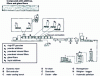 Figure 2 - Complete SFT industrial compounding line