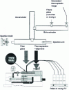 Figure 5 - DLFT injection molding (Krauss-Maffei line)