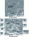 Figure 10 - SEM observation (untouched) on the surface of a sample aged 1,000 h in atmospheric air at 150°C: a) fiber-rich zone, b) matrix-rich zone