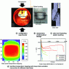 Figure 27 - Thermomechanical behavior of a quasi-isotropic
carbon/glass/PEEK laminate under thermal flow (cone calorimeter) and
mechanical loading in compression.