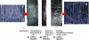 Figure 31 - Post-mortem observations of carbon/PPS
laminates after tensile testing under kerosene flame (5-minute exposure).