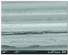 Figure 30 - Interface decohesions under wet aging (x 500)