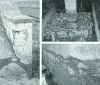 Figure 3 - Cracking of beams and columns in an aged structure affected by alkali-reaction (BRE Digest 330)[4]