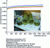 Figure 17 - External pressure creep of a tube (© Ifremer)