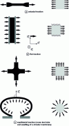 Figure 13 - Conventional deformation modes for elastomer identification tests