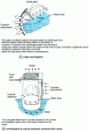 Figure 24 - Centrifugal separation systems