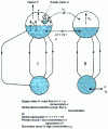 Figure 28 - Dual-circuit diagram