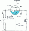 Figure 30 - Natural circulation boiler: flow rates involved
