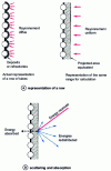 Figure 6 - Wall absorption