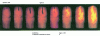 Figure 1 - Combustion of a jet of fuel oil in a diesel engine (doc. CRMT)