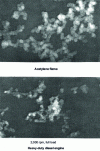 Figure 19 - Soot micrographs (× 50,000)