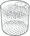 Figure 25 - Gas velocity field in cylinder during intake (SAE 840 518)