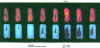 Figure 8 - Liquid core and vapor phase of a two-phase free jet (doc. CRMT)