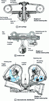 Figure 36 - Valve return via pin springs, torsion bar or desmodromic valve train