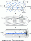 Figure 56 - System of elementary vortices equivalent to the linked and free vortices of a propeller with an infinite number of blades