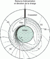 Figure 41 - Map of isotherms in the median plane of a cylindrical bearing