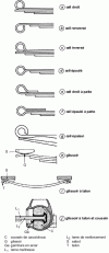 Figure 16 - Eyes and slides