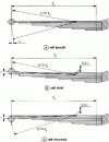 Figure 46 - Eye movement