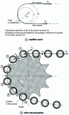 Figure 17 - Worn chain meshing with new sprocket