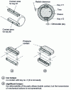 Figure 16 - Torque transmission via a shaft fitted with 2 keys