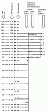 Figure 16 - Particle size scales