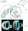 Figure 10 - Principle of continuous generation and division