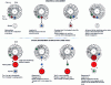 Figure 16 - Tool management in the store