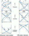 Figure 26 - Pressures, activities, isothermal activity coefficients of two real binary systems