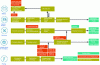 Figure 10 - New value chain