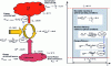 Figure 31 - Heat pump – Energy analysis