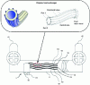 Figure 24 - FLEXER heat recovery technology (based on [42] [43])