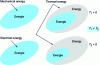 Figure 8 - Energy content of various forms of energy