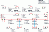 Figure 18 - Temperature sliding ORC cycle. Simple binary geothermal cycle