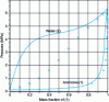 Figure 12 - Isothermal lens at 373 K, with zero interaction coefficients