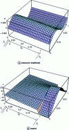 Figure 11 - Spatio-temporal evolution at 35 Hz for the system shown in Fig. 