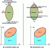 Figure 29 - Diagram of energy exchanges between a thermomechanical converter and its external environment